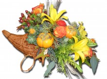 cornucopia_59-99