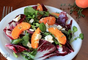 Radicchio, Watercress & Apricot Salad IMG_6797_E_sm