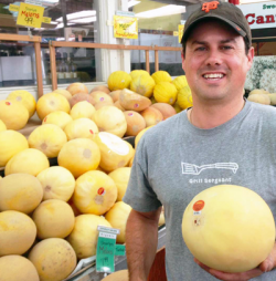 Robbie-with-Orange-Flesh-Melon