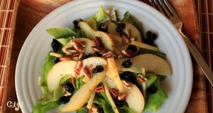 Pear Moo-Na Lisa Cheese Cranberry Salad with a Honey-Rosemary Vinaigrette IMG_8634_E_sm (3)