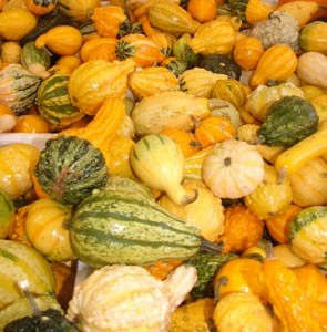 gourds