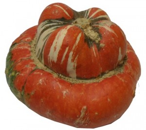 turban squash