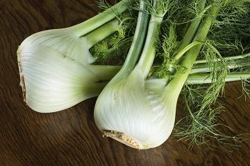 Looking at 2 fresh organic bulbs of fennel shot on a wood table.