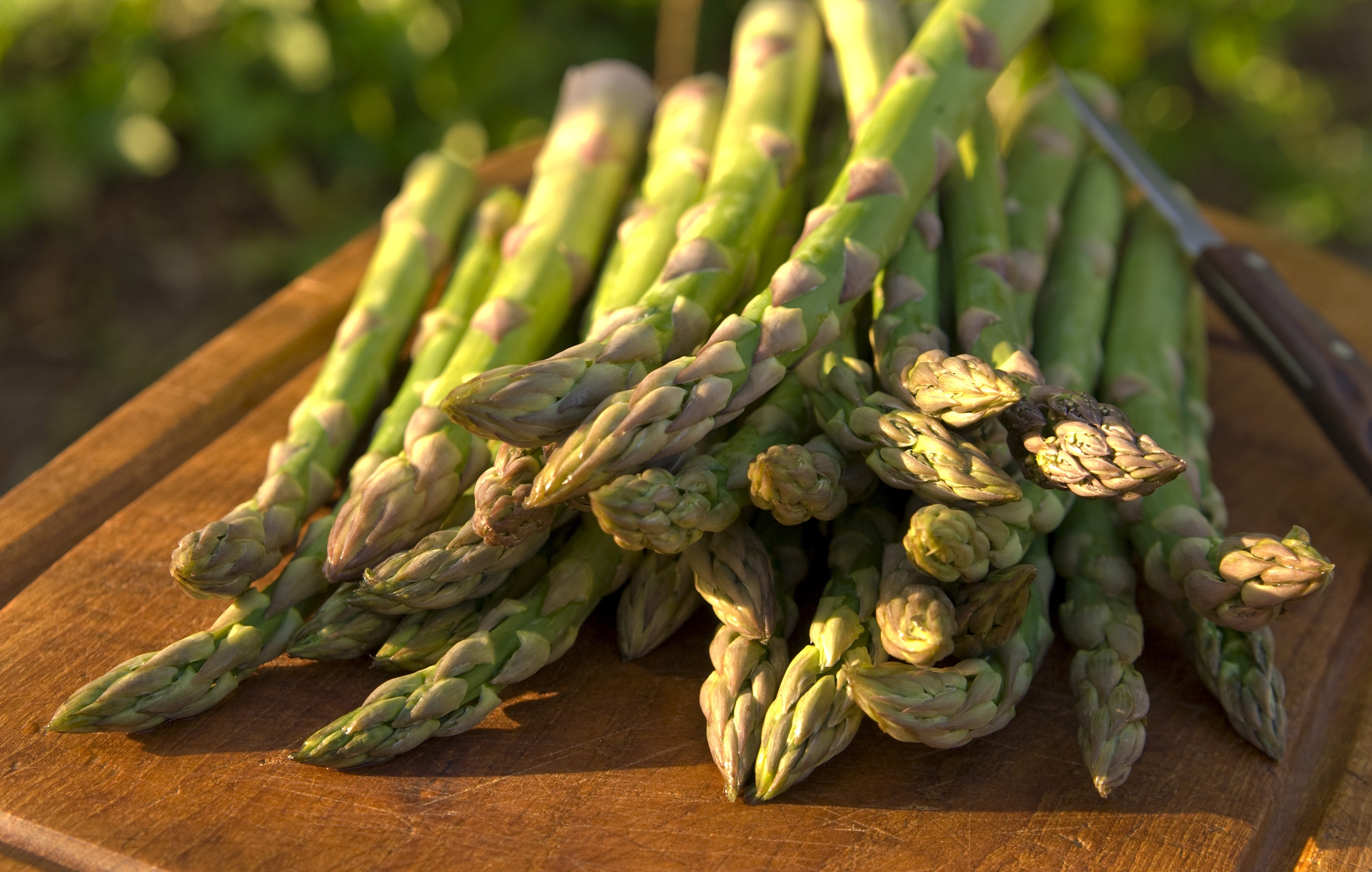 Local Asparagus Tossed with a Sigona’s Olive Oil & Balsamic Vinaigrette ...