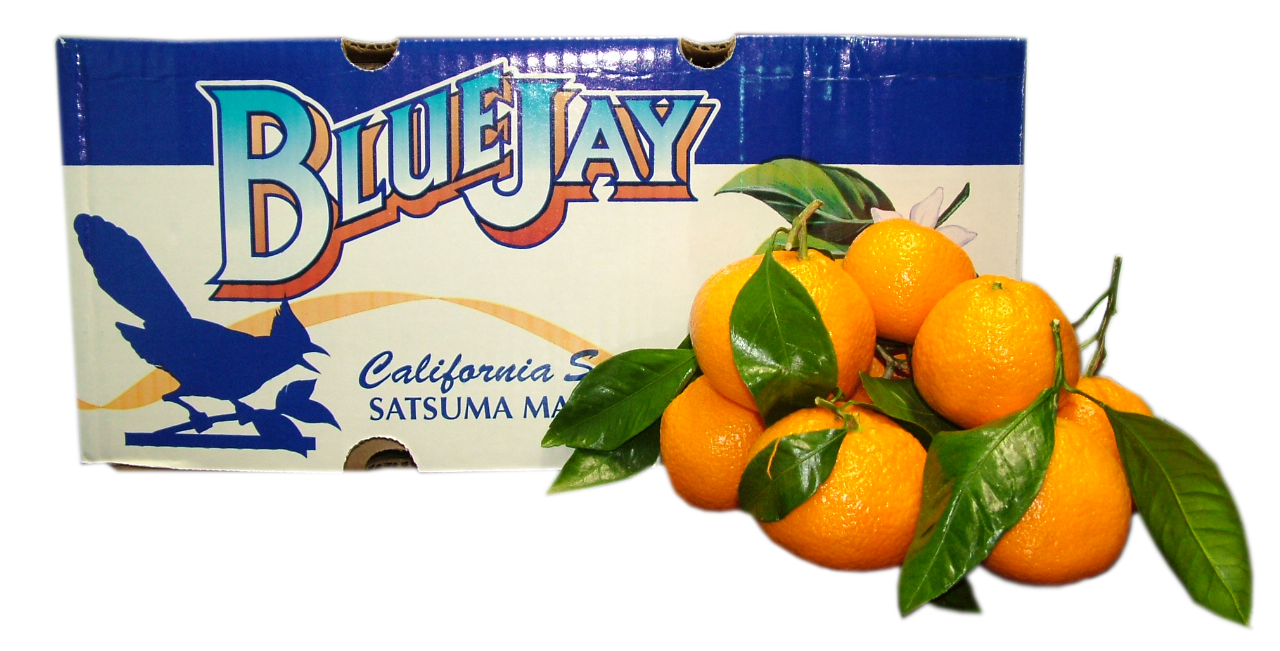 Satsuma's Great 'Ap-peel' – Sigona's Farmers Market