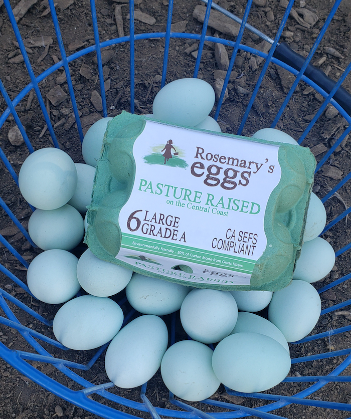 What Are Pasture Raised Eggs?