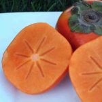 Sliced Fuyu persimmons